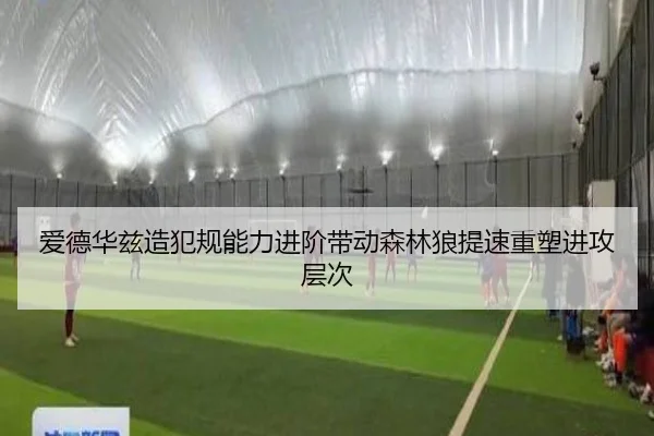 爱德华兹造犯规能力进阶带动森林狼提速重塑进攻层次